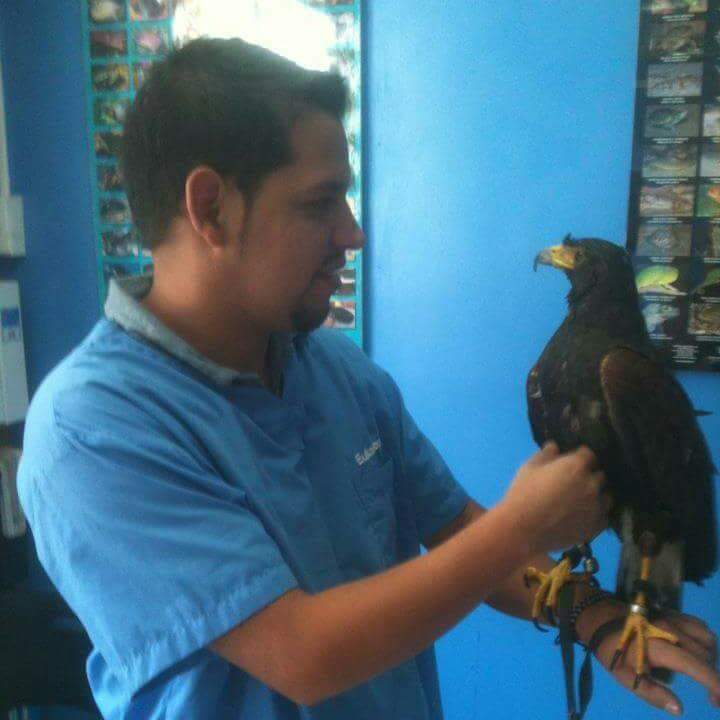 Luis Gabriel - ID: 143394 - 400006