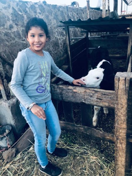 Brisa Fernanda - ID: 248902