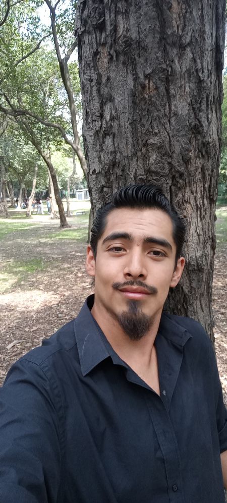 Ulises - ID: 373410 - 700178
